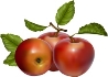 Три яблока - картинка №12638 | Printonic.ru